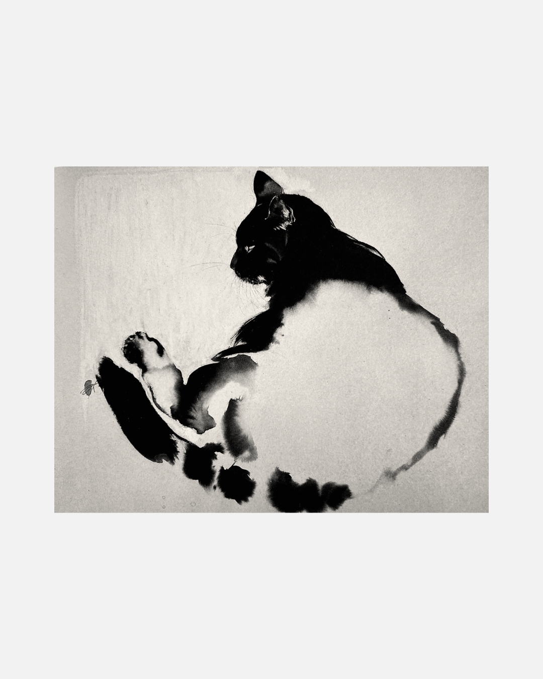 Chat noir couché — Encre de Sonja Knapp