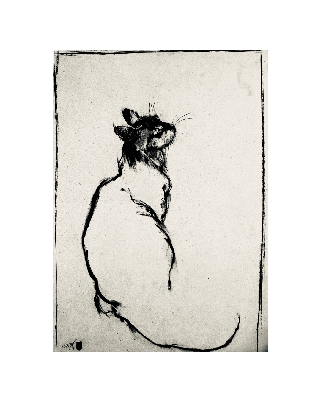 Chat assis, dos tourné — Encre de Sonja Knapp
